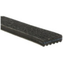 V-Ribbed Belt GATES 6DPK1195