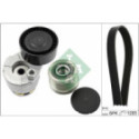 V-Ribbed Belt Set Schaeffler INA 529 0009 20