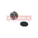 Alternator Freewheel Clutch KAMOKA RC029