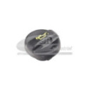 Sealing Cap, oil filler neck 3RG 81106
