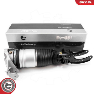 Опора пневматической рессоры ESEN SKV 58SKV703