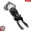Air Suspension Strut ESEN SKV 58SKV703