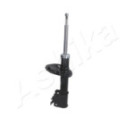 Amort ASHIKA MA-00599