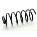Suspension Spring ASHIKA ZCA1646G