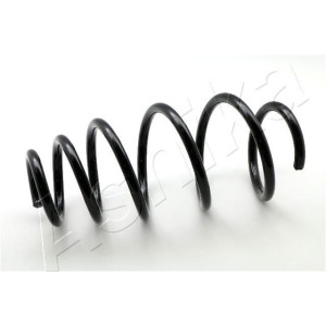 Suspension Spring ASHIKA ZCA4038A