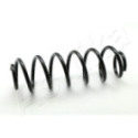 Suspension Spring ASHIKA ZCA6181A