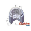 Piston, brake caliper AUTOFREN SEINSA D02538