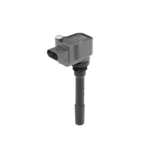 Süütepool BorgWarner (BERU) ZSE225