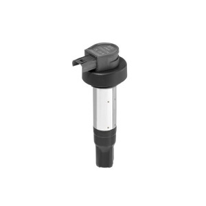 Süütepool BorgWarner (BERU) ZSE228