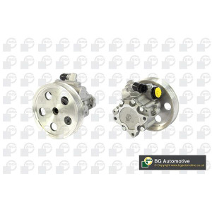 Hydraulic Pump, steering BGA PSP0135