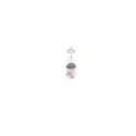 Bulb, direction indicator BOSCH 1 987 302 264