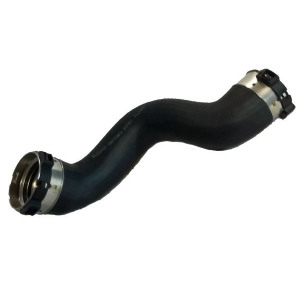 Laadimisõhu voolik BUGIAD 81783