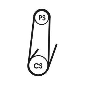Soonrihmakomplekt CONTINENTAL CTAM 4PK1022 ELAST T1