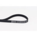 V-Ribbed Belt CONTINENTAL CTAM 4PK830 ELAST
