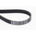 V-Ribbed Belt CONTINENTAL CTAM 6PK1153