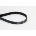 Soonrihm CONTINENTAL CTAM 6PK948