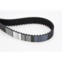 Timing Belt CONTINENTAL CTAM CT1010