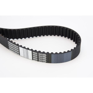 Timing Belt CONTINENTAL CTAM CT1010