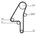 Timing Belt CONTINENTAL CTAM CT1010