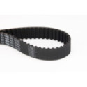 Timing Belt CONTINENTAL CTAM CT1055