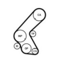 Timing Belt CONTINENTAL CTAM CT1078