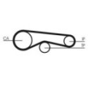Hammasrihm CONTINENTAL CTAM CT1094