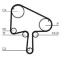 Timing Belt CONTINENTAL CTAM CT1145