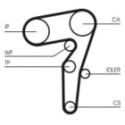Veepump + hammasrihmakomplekt CONTINENTAL CTAM CT1155WP1