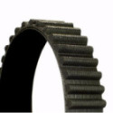 Hammashihnat CONTINENTAL CTAM CT1158