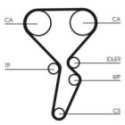Hammasrihm CONTINENTAL CTAM CT1179