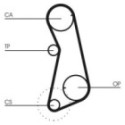 Timing Belt CONTINENTAL CTAM CT637