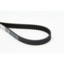 Timing Belt CONTINENTAL CTAM CT873