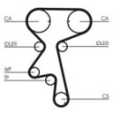 Timing Belt CONTINENTAL CTAM CT873