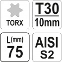 YT-04052 padrun/Torx/pikk/T30/75mm S2