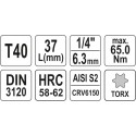 YT-04307 padrun TORX" 1/4 T40 L37mm