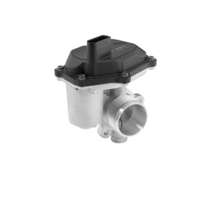 EGR Valve BorgWarner (Wahler) 712079D