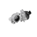 EGR Valve BorgWarner (Wahler) 72147558D