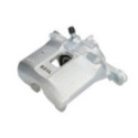 Jarrusatula ABE CZH1064