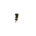 Injector BOSCH 0 280 158 448