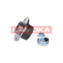 Wheel Bearing Kit KAMOKA 5500026