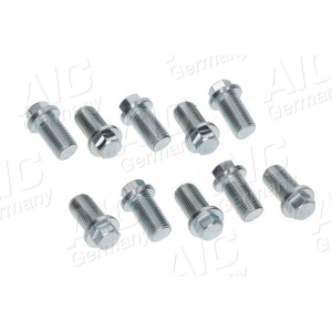 Screw Plug, oil sump AIC 51937