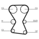 Timing Belt CONTINENTAL CTAM CT1000