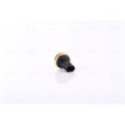 Sensor, coolant temperature NISSENS 207006