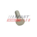 Kruvi,piduriketas FAST FT30601