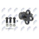 Pallonivel NTY ZSD-CH-031