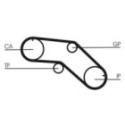 Timing Belt CONTINENTAL CTAM CT1005