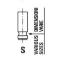Exhaust Valve FRECCIA R6604/RNT