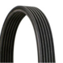 V-Ribbed Belt CONTINENTAL CTAM 6DPK2215