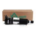Ilmajousijalka Arnott ASE-3821