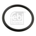 Seal Ring, injector FEBI BILSTEIN 106612
